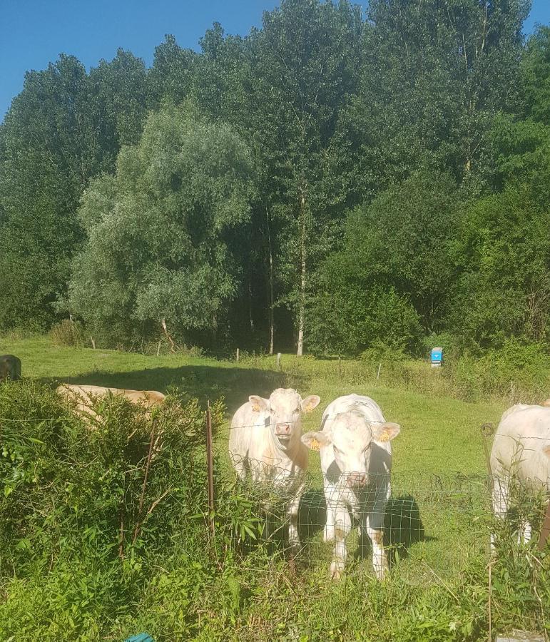 Maison Au Bord De L'Ancre Βίλα Authuille Εξωτερικό φωτογραφία